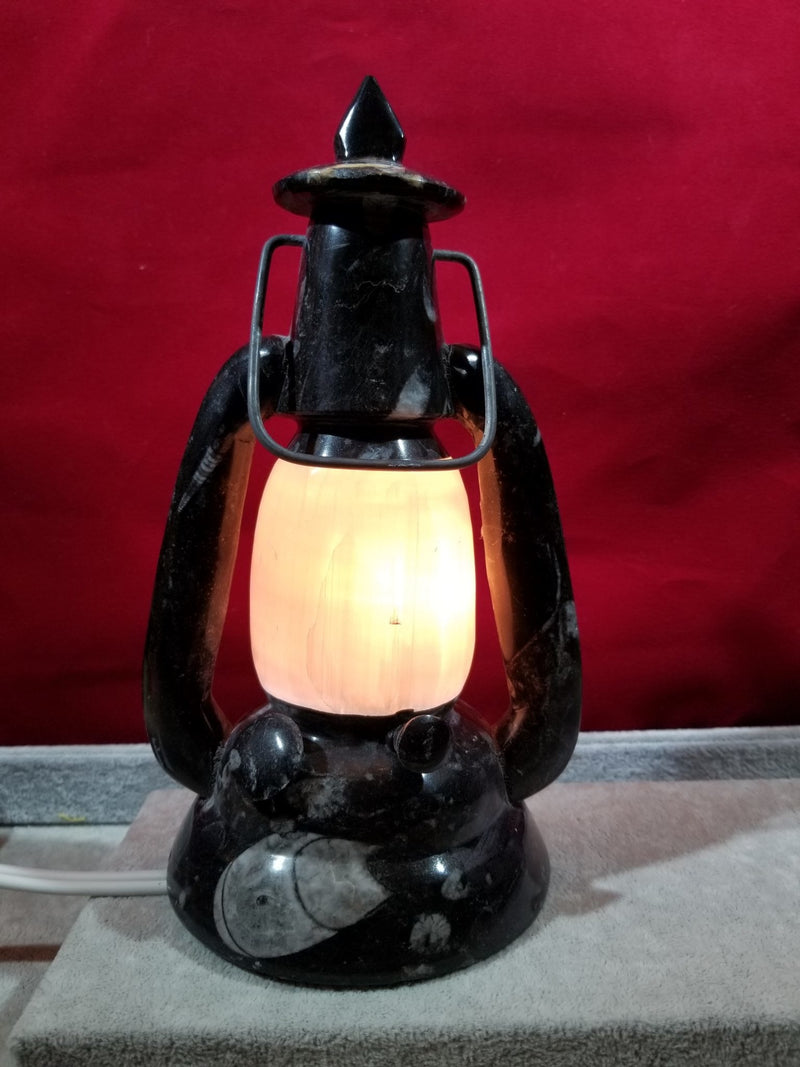 Fossil with Selenite Lantern style Lamp