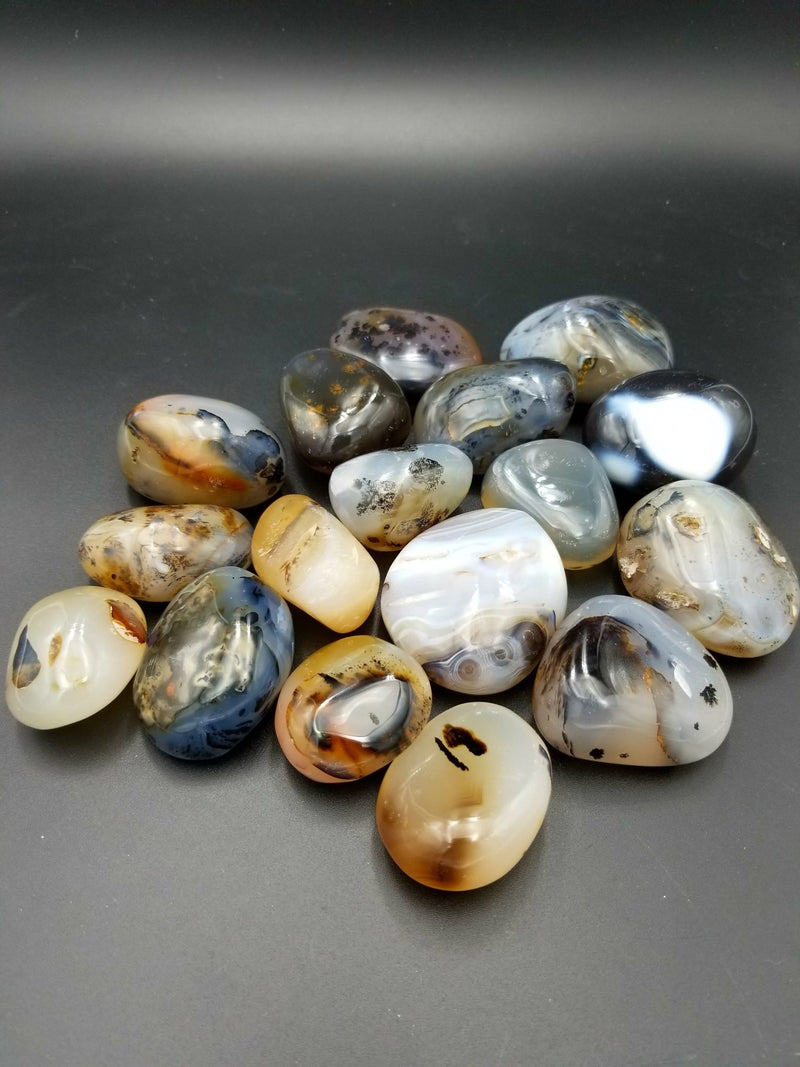 Dendritic Agate tumble stones